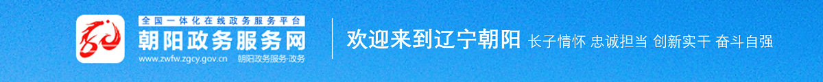 朝阳市政务服务网